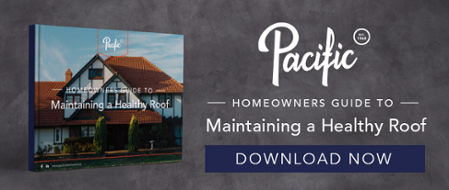 roof-repair-replacement-guide